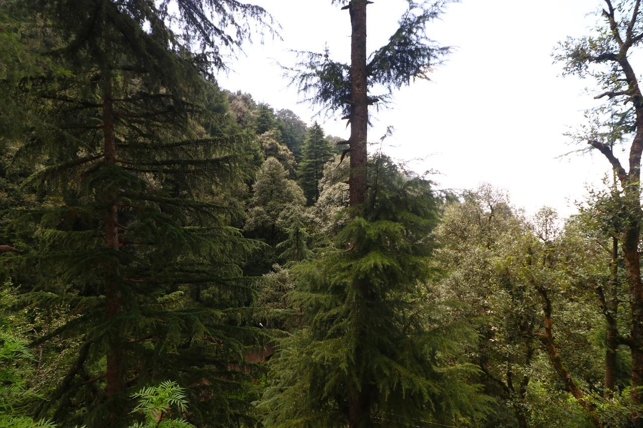 Vilasa Lall Ji Resort Dalhousie Dış mekan fotoğraf